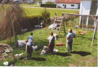 Lots of visitors enjoy the time with the puppies.