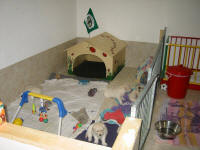 The puppy room - enough space to play and enjoy life.